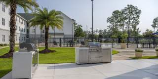 The Fairlane Gallery 13