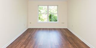 Chestnut Hill East Gallery 20