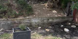 3212 Hollyhock Hill Gallery 33