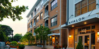 Avalon Harrison Gallery 25