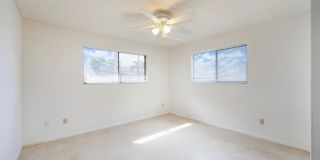 22 Walcott Drive Gallery 15