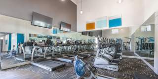 Butternut Ridge Gallery 32