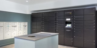 Bell Jackson Street Gallery 13