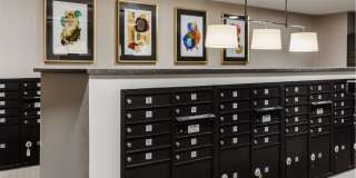 The Cardinal Gallery 15