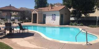 10093 Andy Reese Ct Gallery 7