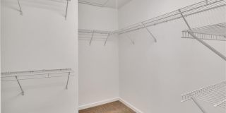 6174 Indian Wood Circle Gallery 19