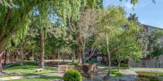 The Pearl at Spring Creek Gallery 4