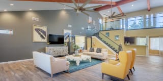 Solstice Gallery 19
