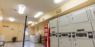 Hidden Colony Gallery 24