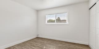 Palm Court Gallery 16