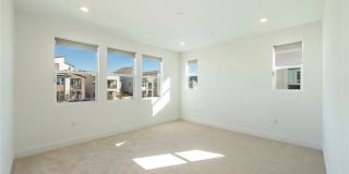 412 Flycatcher Gallery 24