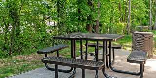 Bridgewood Gallery 24