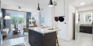 Suriana Boca Gallery 12