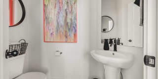 Mt. Rainier Gallery 17