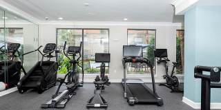 Jackson Hill Gallery 43