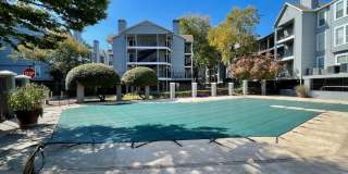 Condo in the Heart of Sandy Springs Condo in the Heart of Sandy Springs Gallery 22