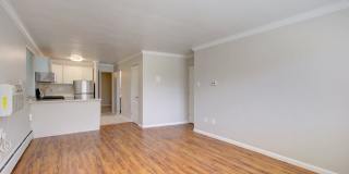 1536 Vine Gallery 4
