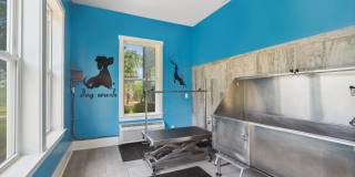 Sawmill Point Gallery 27