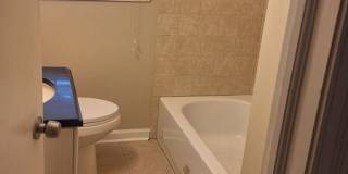 2913 Horse Shoe Drive Gallery 6