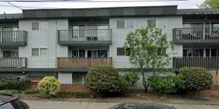 Golden Inca Apartments | Where Comfort Meets Style Gallery 2