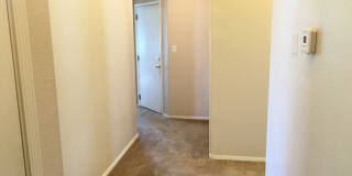 Coming Soon! | Bright & Spacious 3-Bedroom Home | Private Backyard Gallery 18
