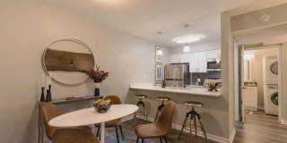 A/62 Apartments Gallery 7