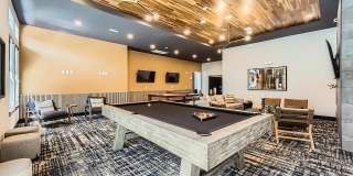 Jasper at Victory Ridge Gallery 33