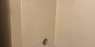 Great single level 2 bed/1 bath duplex in Thurston! Gallery 8