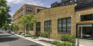 Arcade Sunshine Gallery 60