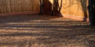 1640 Courtland Gallery 3