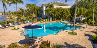 Lexington Palms at the Forum Gallery 26