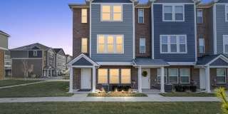 5931 Stella Gallery 1