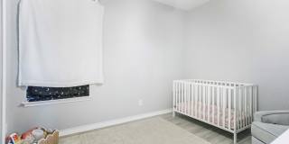 21518 Andrews Garden Gallery 16