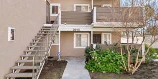 Studio Condo Gallery 1