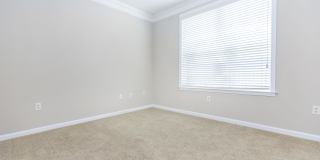 Emerson at Cherry Lane Gallery 30