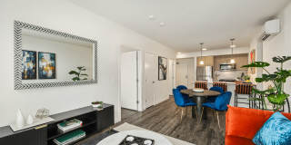 Ellis at Bel-Red Gallery 2