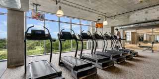 Allure Hermann Park Gallery 34