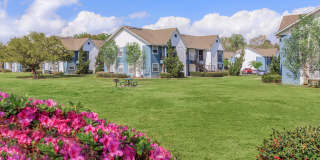 The Henry Richmond Hill Gallery 10