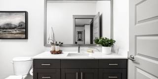 The Steadman Apartments Gallery 12