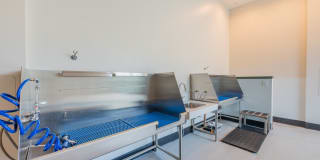 Essence Essence Gallery 22