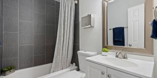 Phoenix Apartments Gallery 4