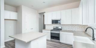 Stunning 4 Bedroom/3 Bath Single Level Home In Estrella Mountain Ranch Community! Newly Built Home! Gallery 5