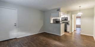 Rise on Cactus Gallery 53