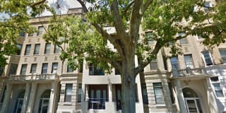 Commonwealth Gardens Gallery 3