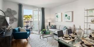 Village Square Gallery 4