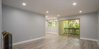 23647 Park Capri Gallery 5