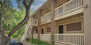Bouldin Creek Gallery 46