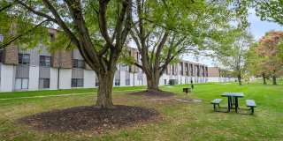 Center Court Apartments Gallery 3