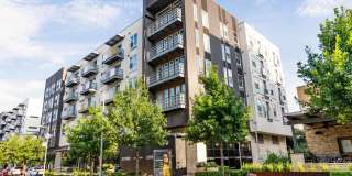 The Standard at Domain Northside Apartments Gallery 32