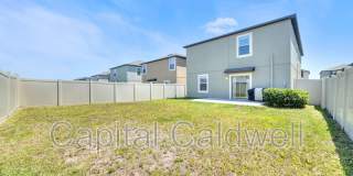 9434 Lemon Drop Loop Gallery 44